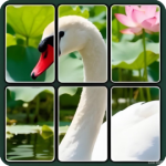 图文来找茬-免广告