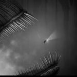 黯海–Steam移植–无需联网